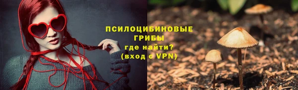 прущие грибы Дмитровск