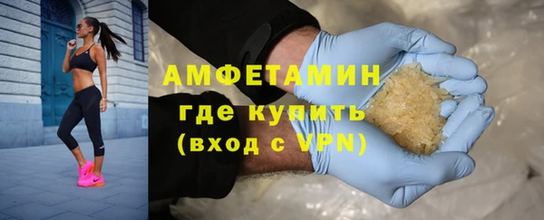 прущие грибы Дмитровск