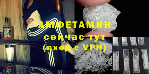 прущие грибы Дмитровск
