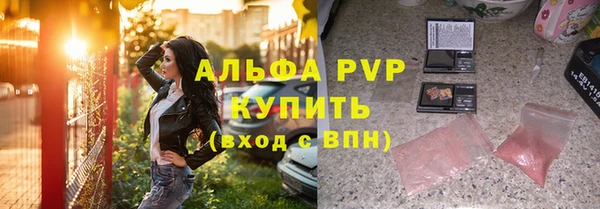 прущие грибы Дмитровск