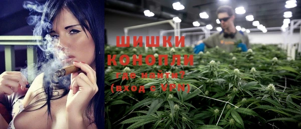 прущие грибы Дмитровск