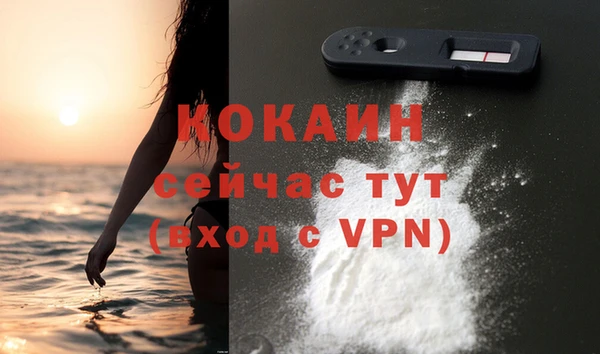 прущие грибы Дмитровск
