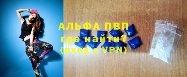 прущие грибы Дмитровск