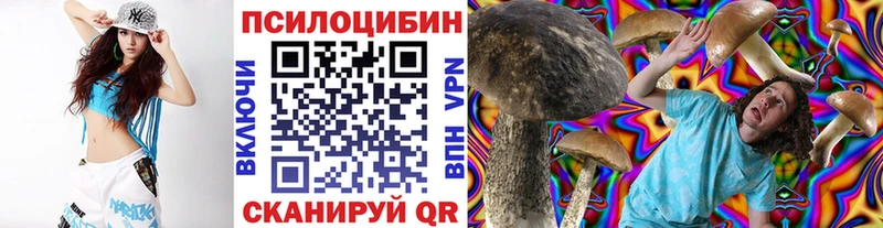 наркота  Калачинск  Псилоцибиновые грибы Cubensis 